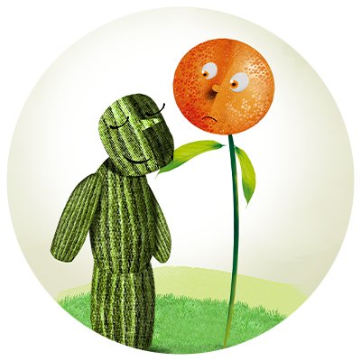 A Flor que Usava Lenço - capa